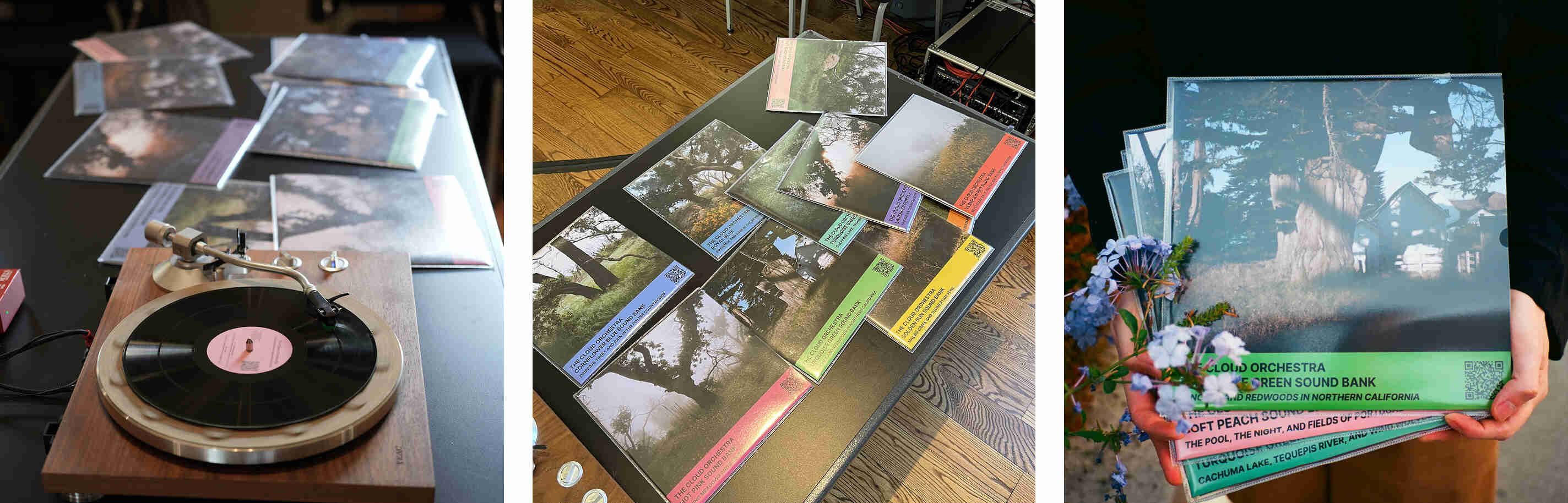Harvard Sound Installation - Vinyl
